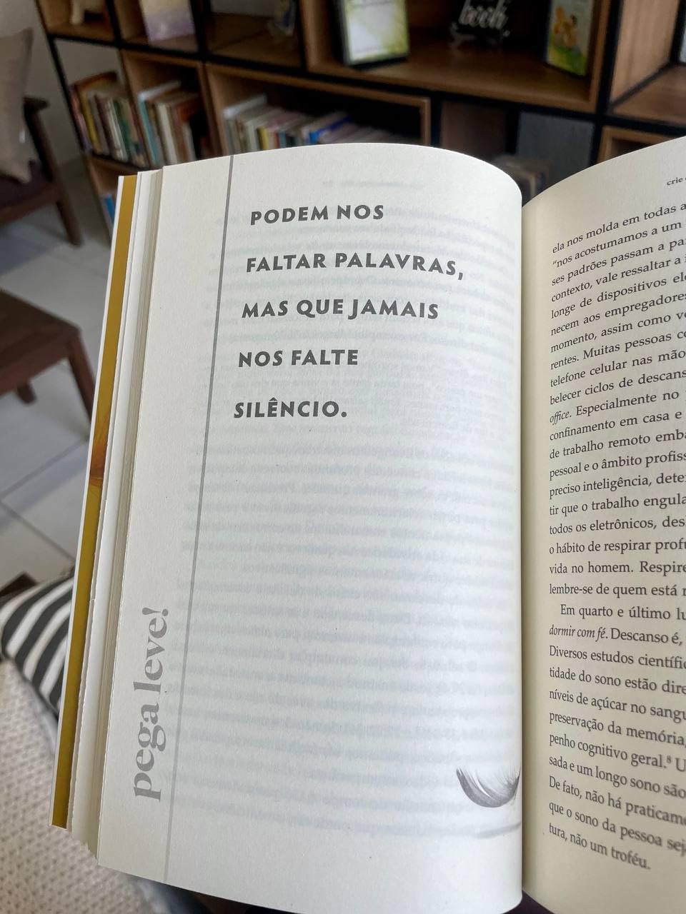 Pega Leve!: Seus problemas não são maiores que Deus - Imagem 7