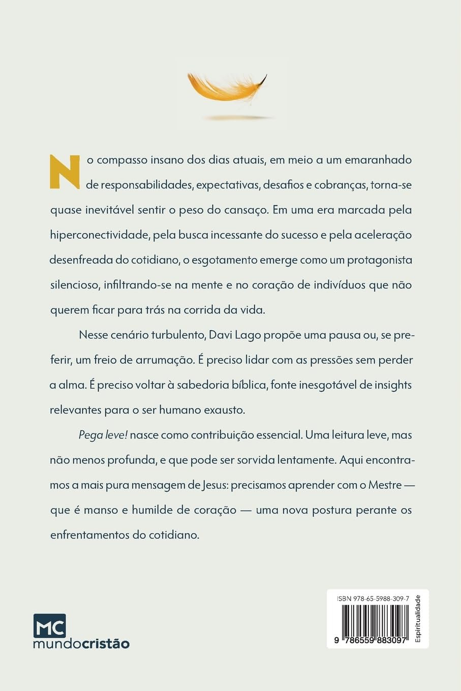 Pega Leve!: Seus problemas não são maiores que Deus - Imagem 8